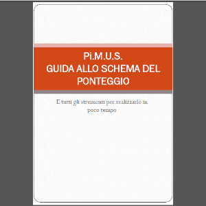 Copertina Guida allo schema del ponteggio